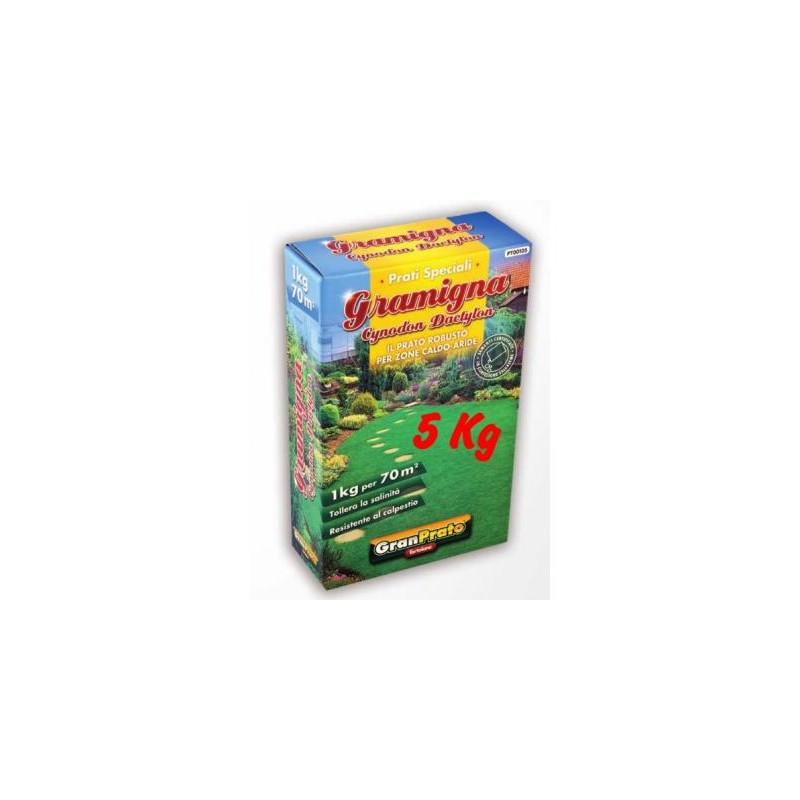 SEMI PRATO TAPPETO ERBOSO GRAMIGNA, CYNODON DACTYLON, ERBA BERMUDAGRASSDA KG. 5